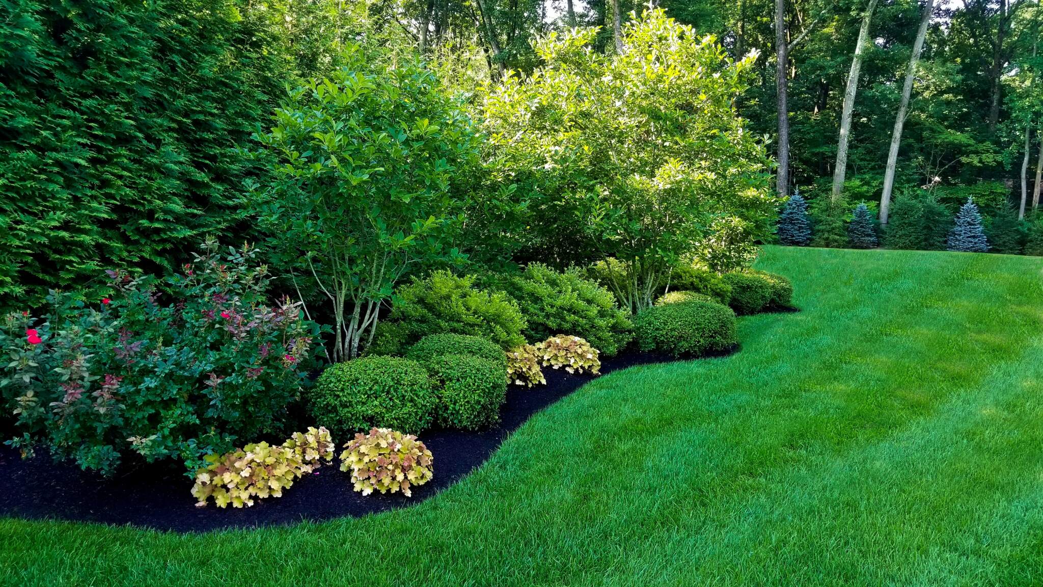 Insect and Pest Control