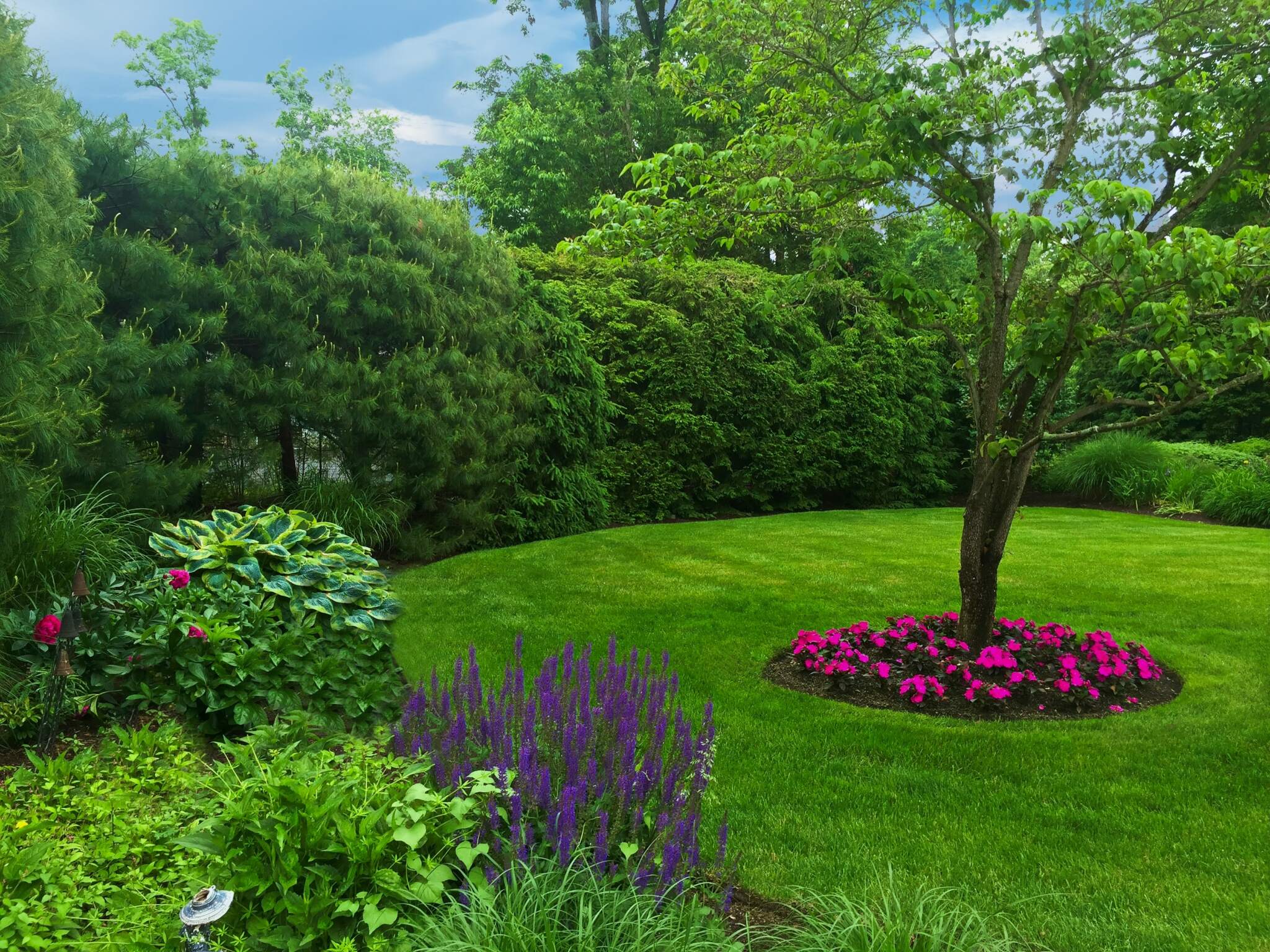 Trees' nutrient needs can change over time. Our regular tree, shrub, and plant checks ensure they always get what they need.